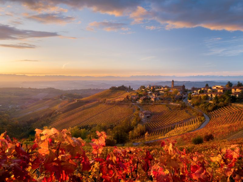 Kleinstadt im Piemont mit Weinbergen im Hintergrund und verfärbten Blättern im Vordergrund