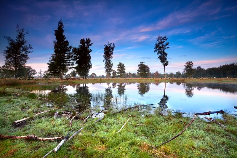 Naturcampingplätze in den Niederlanden liegen oft an geschützten Naturparks.