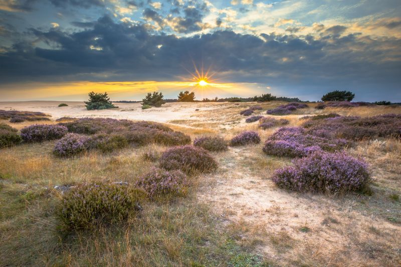 Verbringen SIe Ihren nächsten Urlaub auf einem Naturcampingplatz in den Niederlanden mit solchen Aussichten.