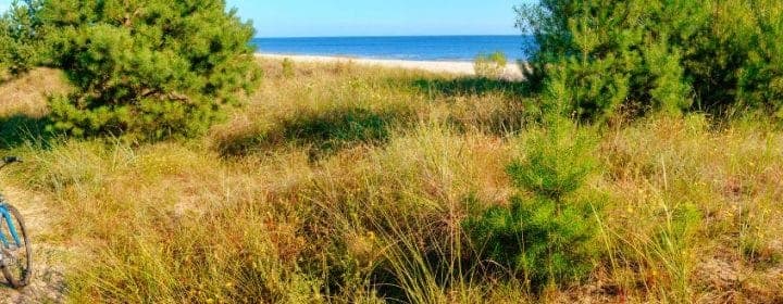 Ostsee Campingplatz am Meer