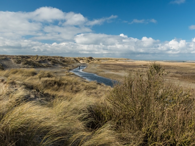 Sluftervallei op Texel