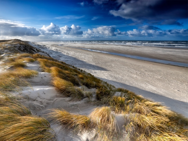 Strand en duinen Texel