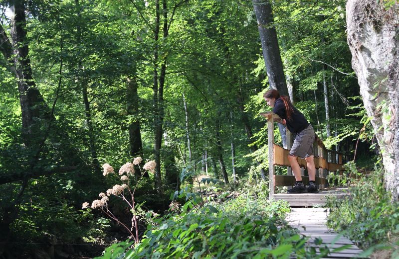 Wandern im Saarland: Unterwegs auf den schönsten Traumschleifen