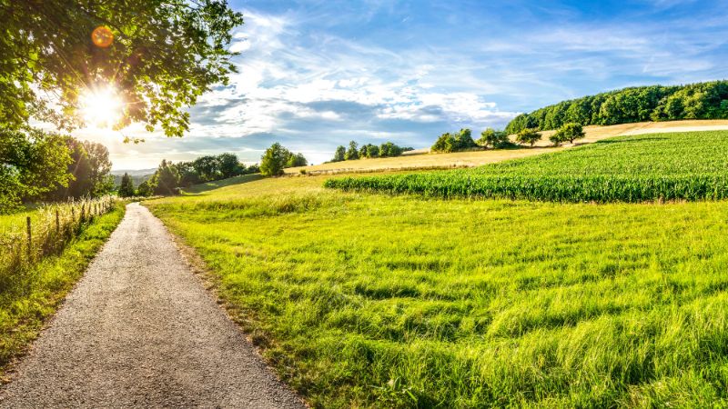 Wandern im Saarland auf den Traumschleifen: satte Wiesen und weite Felder