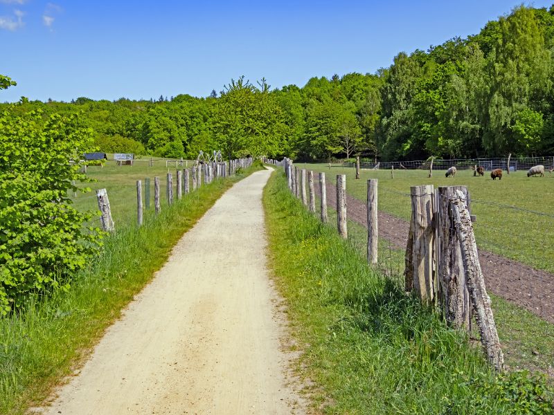 Wanderweg Holsteinische Schweiz