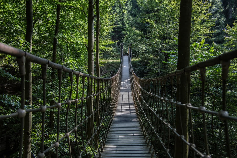 De Wildline-hangbrug is 380 meter lang en 60 meter hoog.