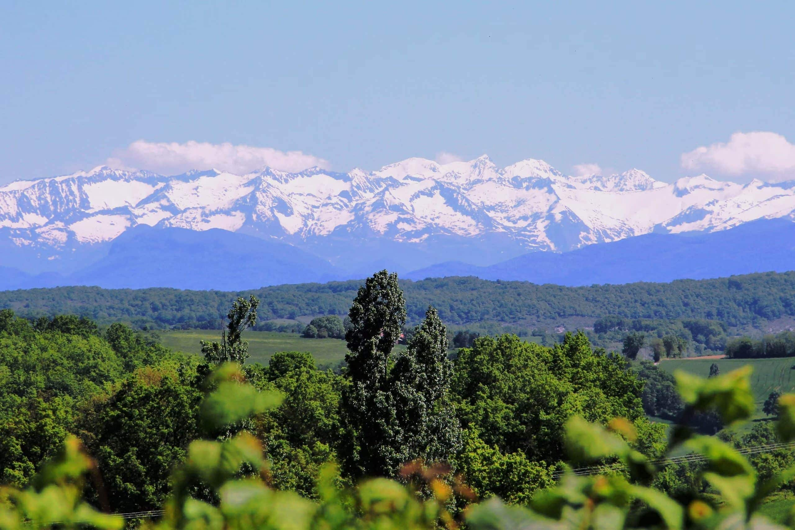 Camping Pré Fixe