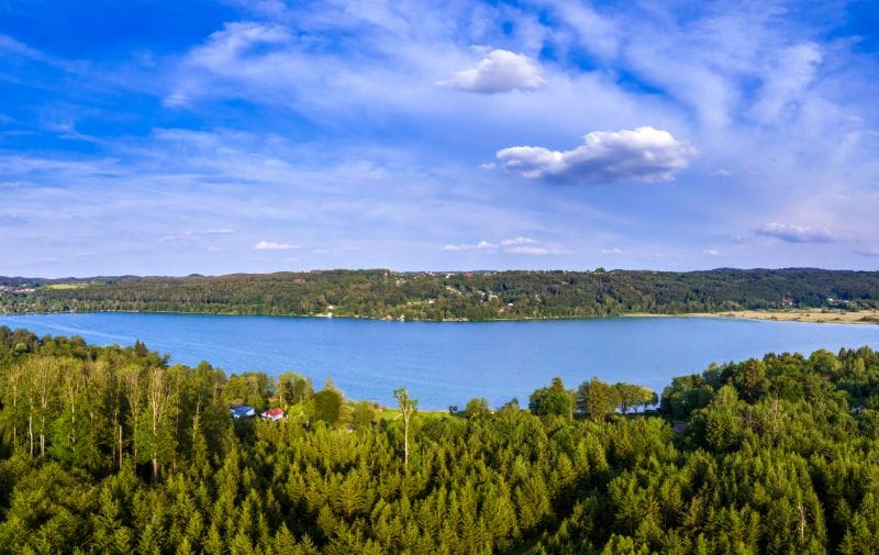 ein See umgeben von Wald