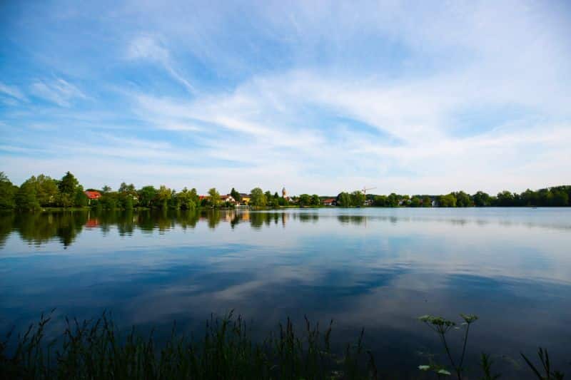 Blick auf einen See mit Bäumen und Häusern im Hintergrund